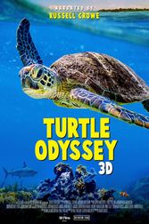 Turtle Odyssey Poster